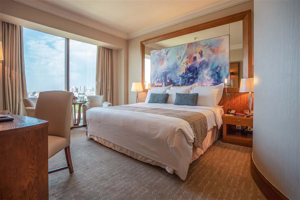 Luxury One King Guest Room