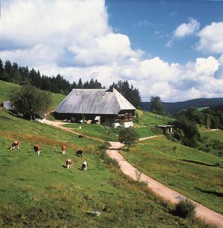 Best Western Plus Hotel Schwarzwald Resi