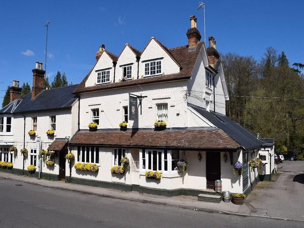 The Drummond At Albury in Guildford, United Kingdom