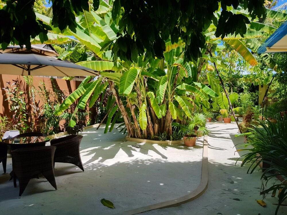 Island Vista Inn in UKULHAS, Maldives
