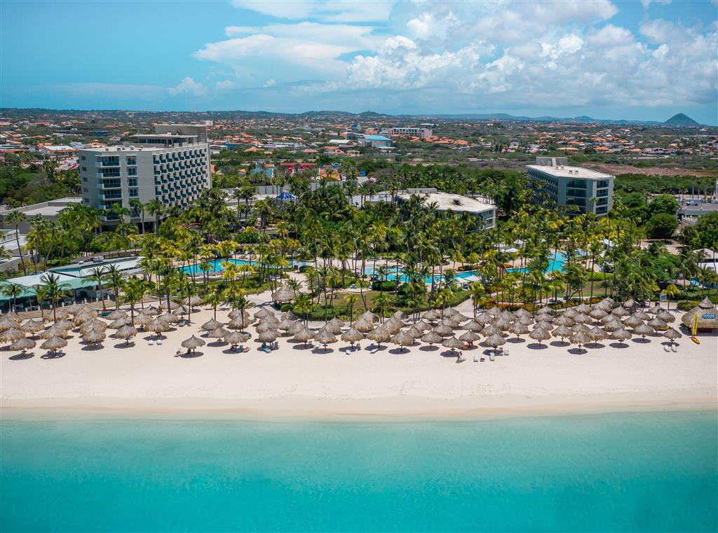 Hilton Aruba Caribbean Resort & Casino in Palm Beach, Aruba