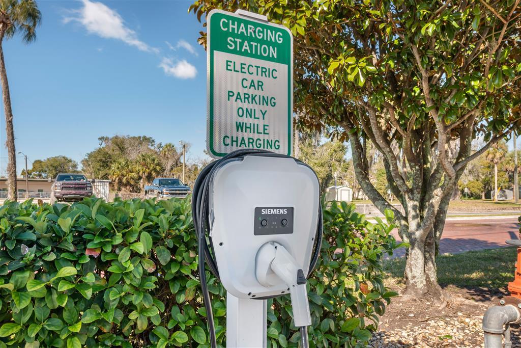 Electronic vehicle charging station