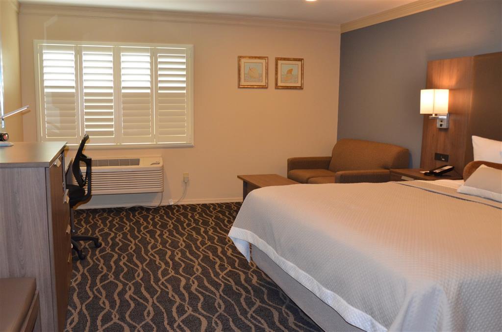 King Business Plus Guest Room
