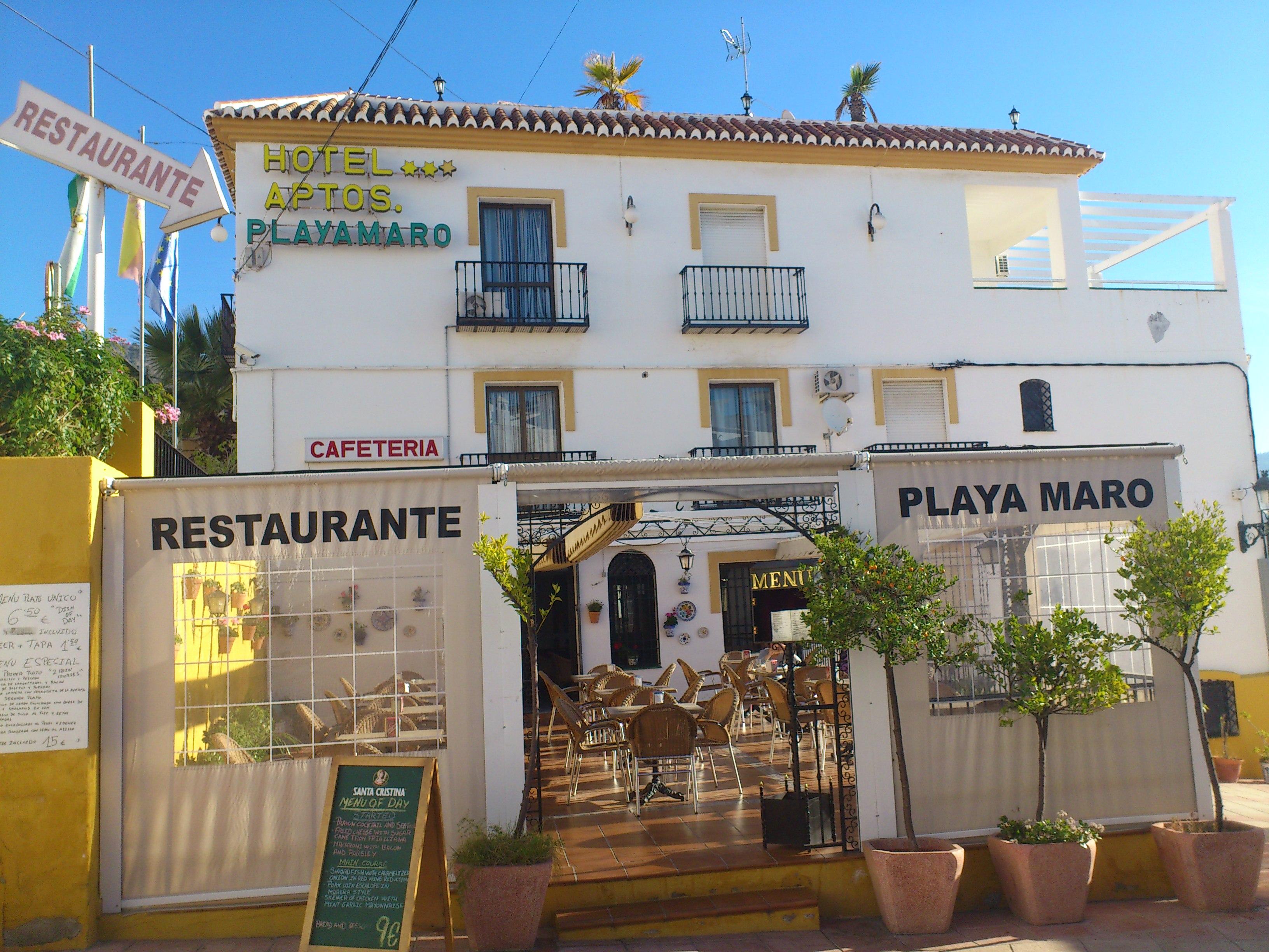 Hotel Playamaro in Nerja Area, Spain
