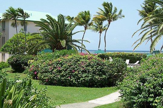 Colony Cove Beach Resort in St Croix, Virgin Islands-United States